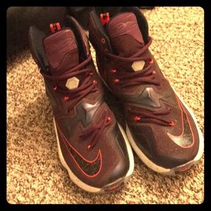 Nike Lebron 13 basketball shoes